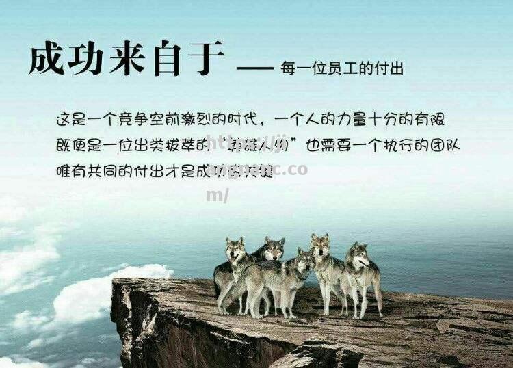 勇往直前，队伍全力以赴拼搏