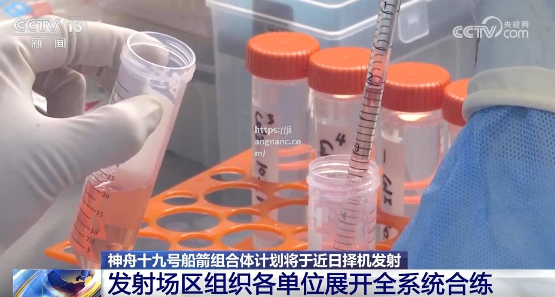 江南体育-克罗队追加累计成功半方，凯吉洛连亚洲日即将成功